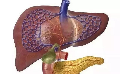 “哭泣的肝脏”——生存率不到一半的肝腹水到底怎么办?(图1)