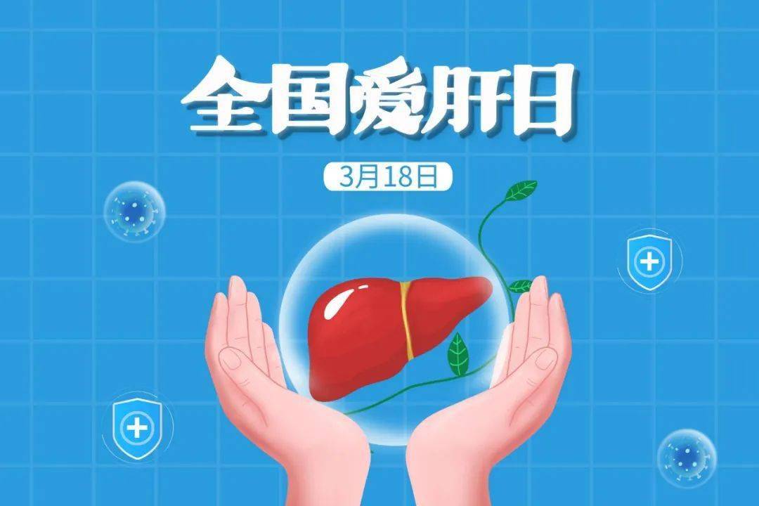 爱肝日，我们该怎么爱护肝脏？