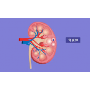 多囊肾的危害有什么