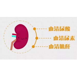 肾病综合征很严重吗