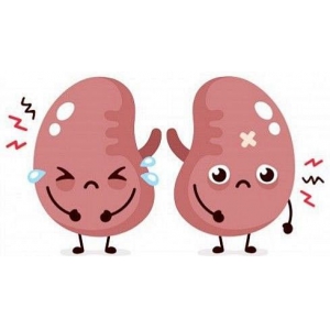 什么是慢性肾脏病？分期标准是什么?