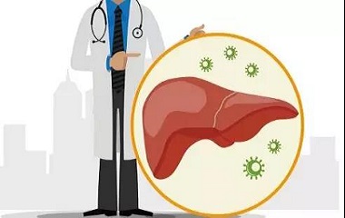 怎样给肝脏排毒？(图1)